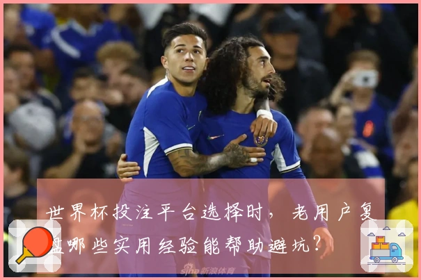 世界杯投注平台选择时，老用户复盘哪些实用经验能帮助避坑？
