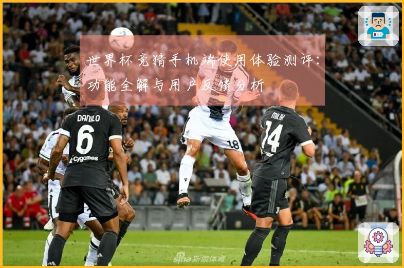 世界杯竞猜手机端使用体验测评：功能全解与用户反馈分析