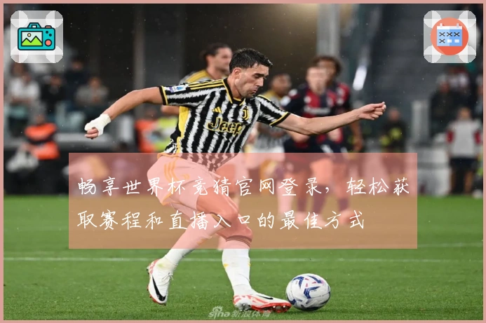 畅享世界杯竞猜官网登录，轻松获取赛程和直播入口的最佳方式