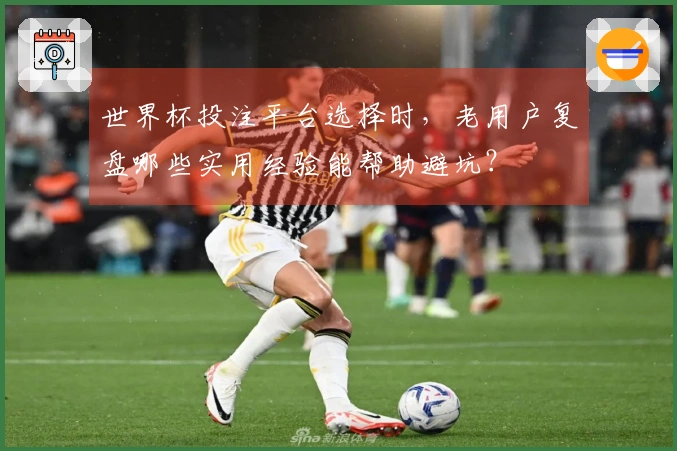 世界杯投注平台选择时，老用户复盘哪些实用经验能帮助避坑？
