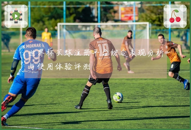 世界杯买球注册平台综合表现分析与使用体验评测