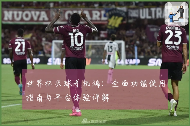 世界杯买球手机端：全面功能使用指南与平台体验详解