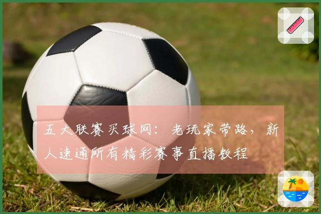 五大联赛买球网:老玩家带路,新人速通所有精彩赛事直播教程