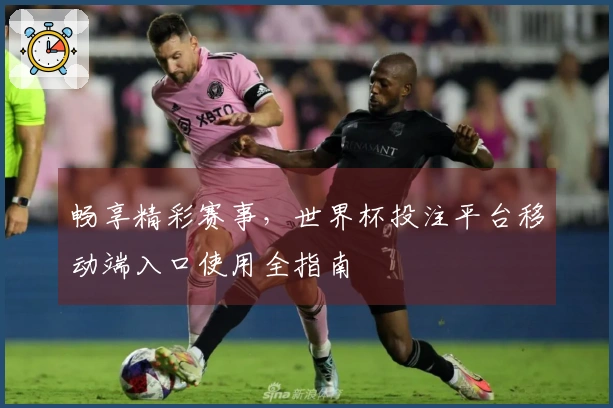 畅享精彩赛事，世界杯投注平台移动端入口使用全指南