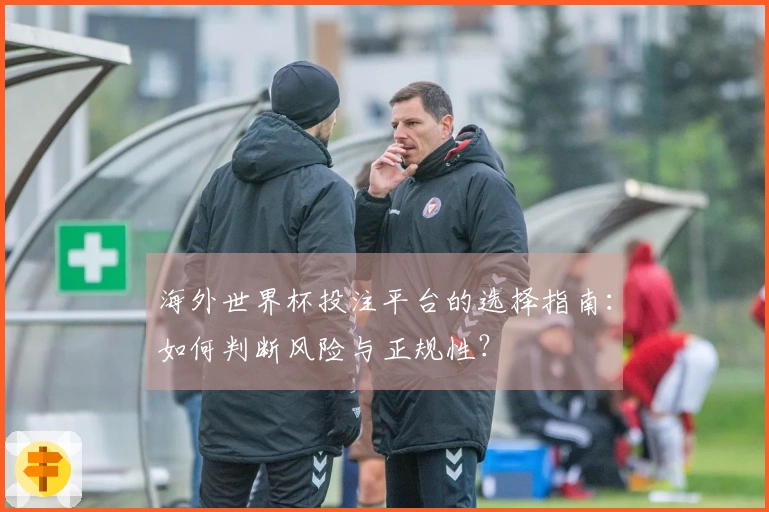 海外世界杯投注平台的选择指南：如何判断风险与正规性？