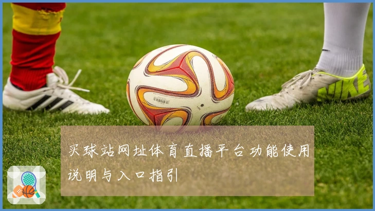 买球站网址体育直播平台功能使用说明与入口指引