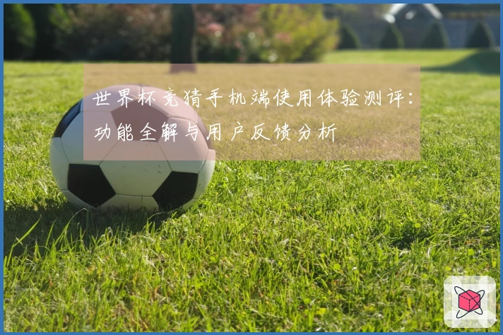 世界杯竞猜手机端使用体验测评：功能全解与用户反馈分析