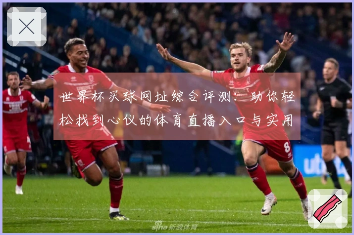 世界杯买球网址综合评测：助你轻松找到心仪的体育直播入口与实用功能