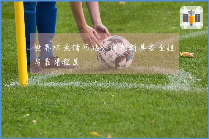 世界杯竞猜网站如何判断其安全性与靠谱程度