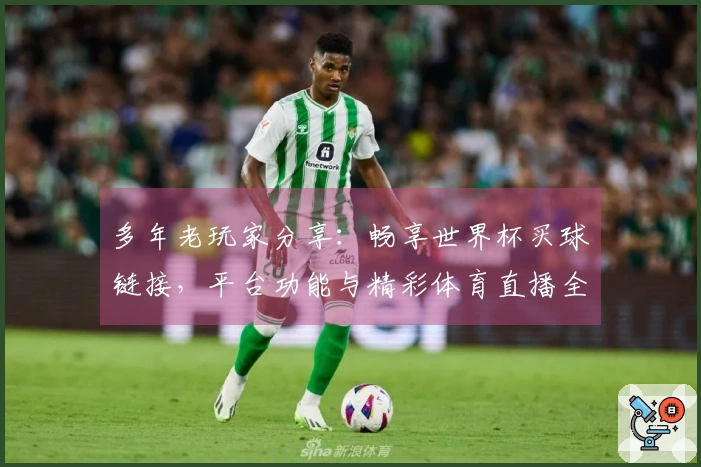 多年老玩家分享：畅享世界杯买球链接，平台功能与精彩体育直播全体验