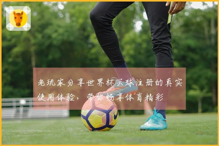 老玩家分享世界杯买球注册的真实使用体验，带你畅享体育精彩