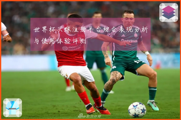 世界杯买球注册平台综合表现分析与使用体验评测