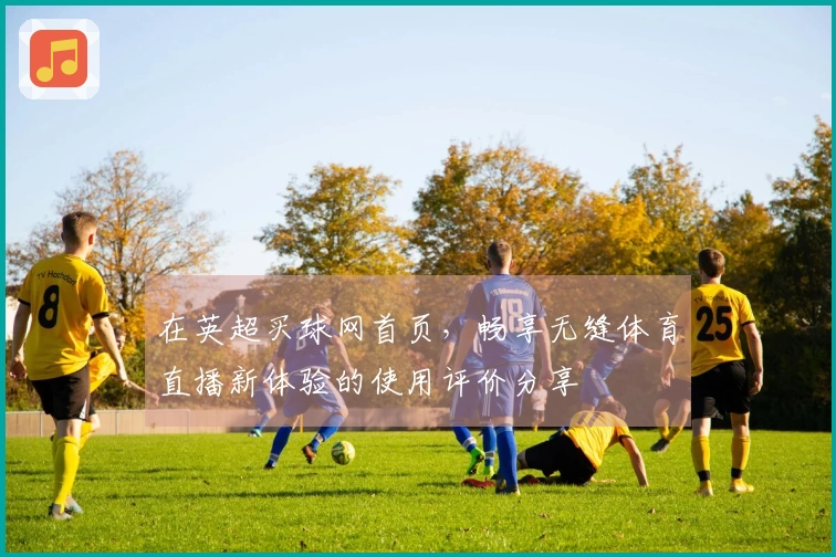 在英超买球网首页,畅享无缝体育直播新体验的使用评价分享