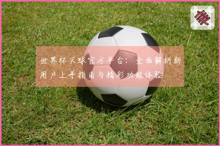 世界杯买球官方平台：全面解析新用户上手指南与精彩功能体验