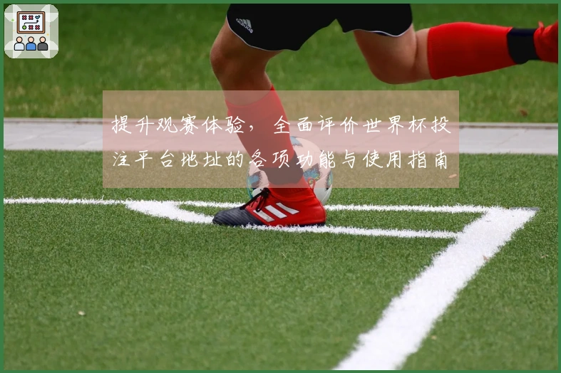 提升观赛体验，全面评价世界杯投注平台地址的各项功能与使用指南