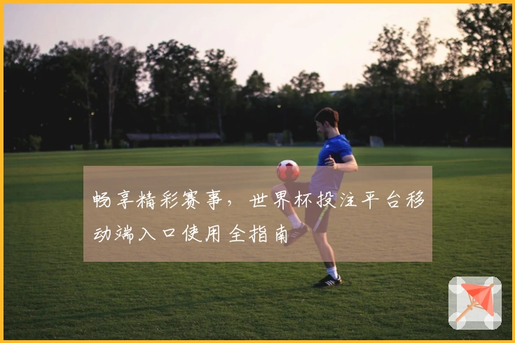 畅享精彩赛事，世界杯投注平台移动端入口使用全指南