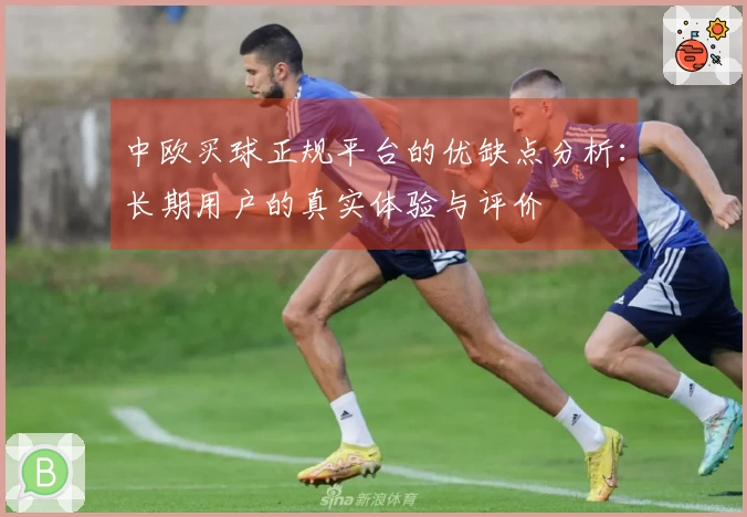 中欧买球正规平台的优缺点分析:长期用户的真实体验与评价