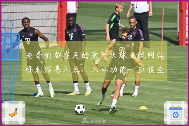 老哥们都在用的意甲买球正规网站福利信息汇总，入口功能一应俱全，新手必看！