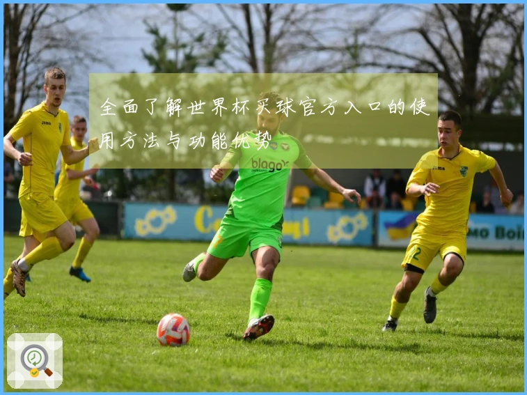 全面了解世界杯买球官方入口的使用方法与功能优势