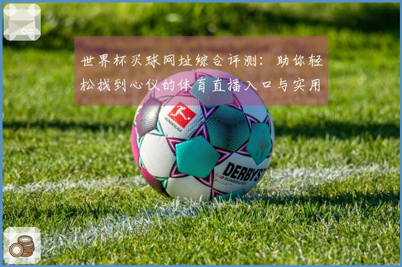 世界杯买球网址综合评测：助你轻松找到心仪的体育直播入口与实用功能