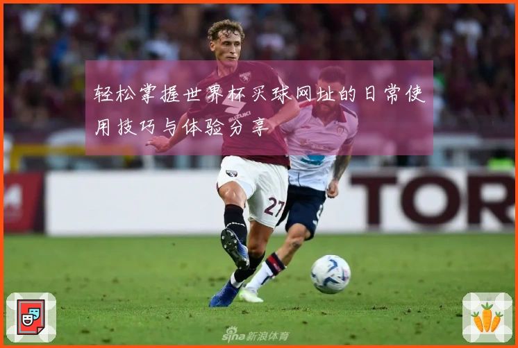 轻松掌握世界杯买球网址的日常使用技巧与体验分享