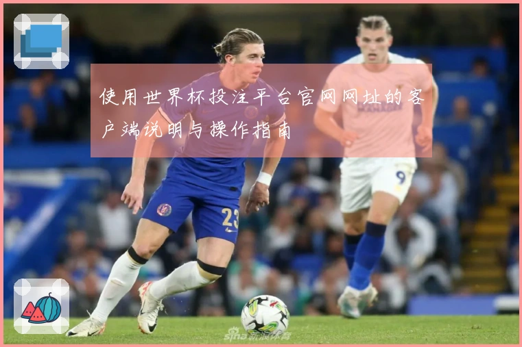 使用世界杯投注平台官网网址的客户端说明与操作指南