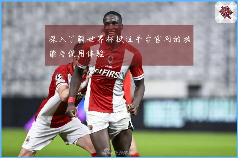 深入了解世界杯投注平台官网的功能与使用体验
