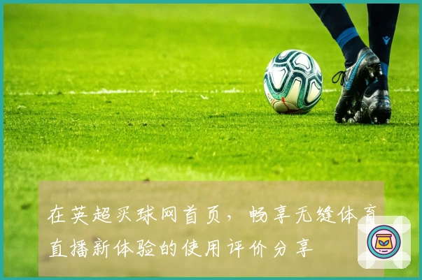 在英超买球网首页，畅享无缝体育直播新体验的使用评价分享
