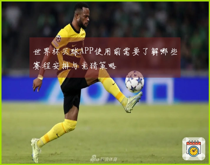 世界杯买球APP使用前需要了解哪些赛程安排与竞猜策略